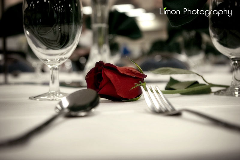 The resting Rose